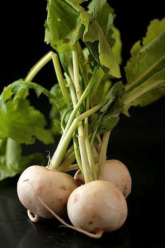 Serie Noire White Turnips Fresh Vegetables Turnip Vegetables