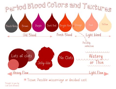 What Is Your Period Blood Telling You About Your Health — Freya Graf