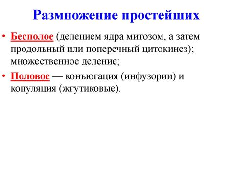 Тип простейшие. Одноклеточные организмы - online presentation
