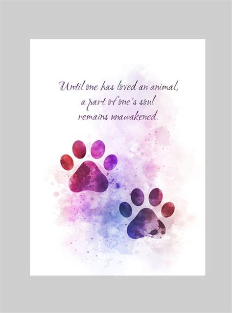 Paw Prints Animal Quote Art Print Cat Dog Pet Love Etsy In 2021 Art