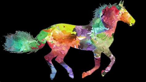 Colorful Horse Backiee