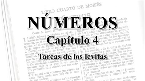 Cap N Meros Tareas De Los Levitas Rv Audio Biblia Youtube