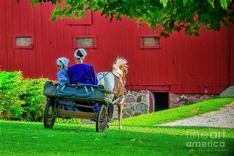 Amish Girls And Pony Cart Photograph By David Arment Pixels