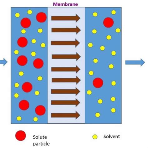 | Schematic diagram of membrane technology. | Download Scientific Diagram
