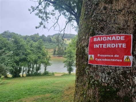 Is Re Interdiction De Baignade Au Lac De Roybon Le Taux De Toxines