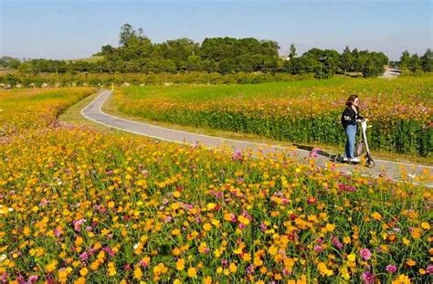 Singha Park Chiang Rai Boon Rawd Farm Bon Voyage Thailand