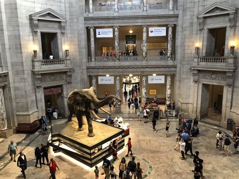 Museo Nacional Smithsoniano De Historia Natural Washington Dc 2020