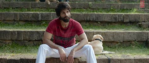Kabir Singh Desktop Wallpapers Wallpaper Cave