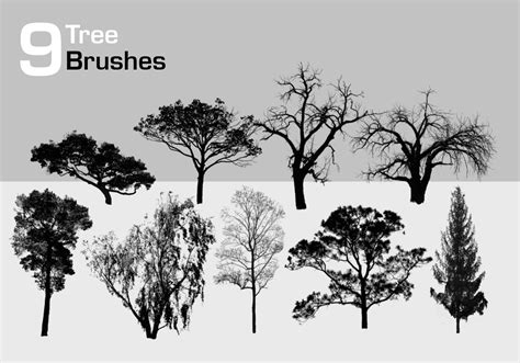 9 High Resolution Tree Brushes Free Photoshop Brushes At Brusheezy