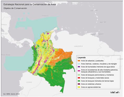 Colombia el país de las aves que busca hacer de esa riqueza un motivo