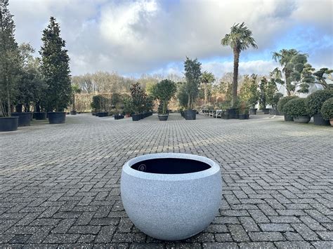 Luxury Bowl Plantenbak Ivoorkleur 67 Cm Palmexpert Nl