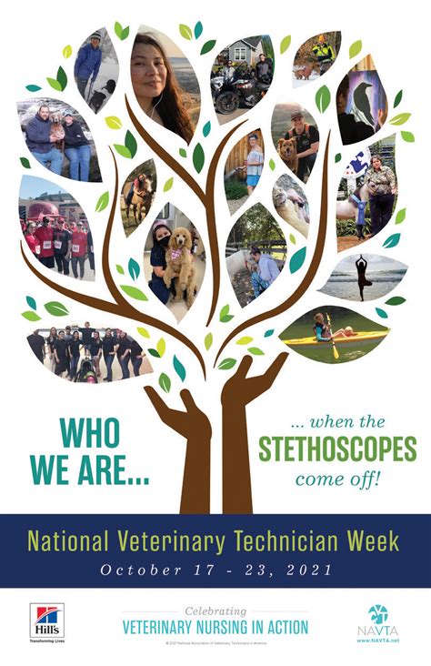 National Veterinary Technician Week Focuses On Self Care American