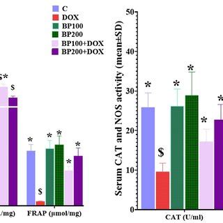 Changes of serum cytokine levels in different groups a IL6 IL1β