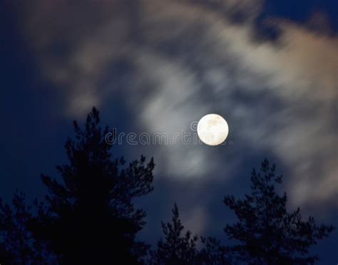 Full Moon Over The Forest South Bohemia Stock Photo Image Of Czech