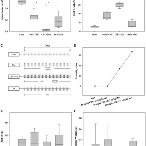 Autophagy In CAFs Attenuates The Anti Proliferation Activity Of CHC And