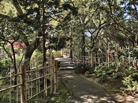 san mateo japanese garden visitors guide wander eat write