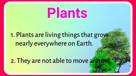 10 Lines On Plants In English About Plants Essay On Plant Ashwins