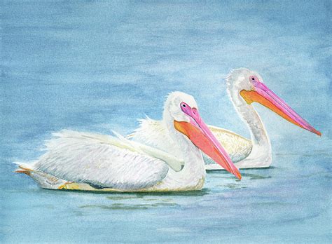 American White Pelicans Painting By Deborah League Fine Art America