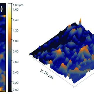 a 2D and b 3D atomic force microscope AFM images 20 lm Â 20 lm