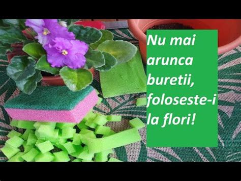 Nu Mai Arunca Buretii De Bucatarie Pune I La Flori YouTube