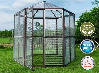 Best 6 Parrot Aviary & Enclosure For Outdoor & Indoor Use