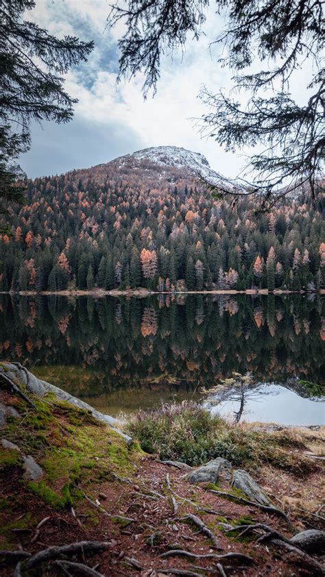 Download Wallpaper 1080x1920 Mountain Lake Trees Water Reflection