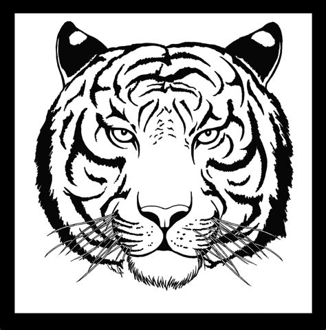 Tiger Face Drawing Pencil at GetDrawings | Free download