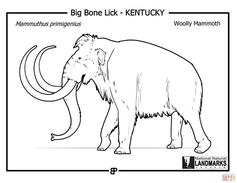 Woolly Mammoth Mammuthus Primigenius Coloring Page Free Printable