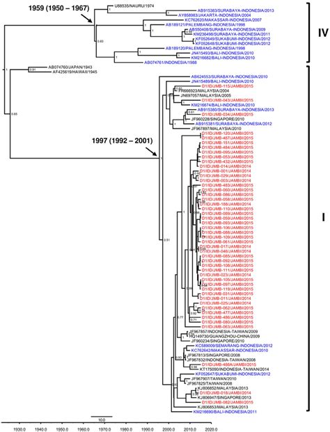 Maximum Clade Credibility Mcc Tree Of Denv Genotypes I And Iv