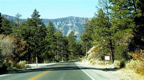 Mt. Charleston Scenic Byway | Scenic byway, Scenic, Scenic roads