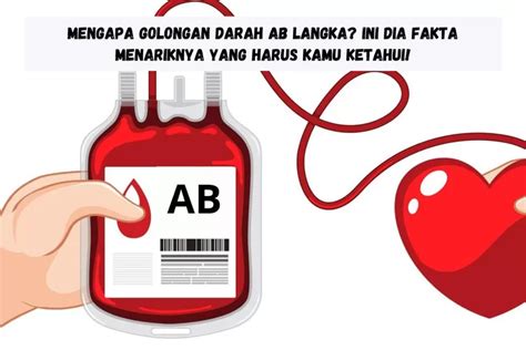 Mengapa Golongan Darah Ab Langka Ini Dia Fakta Menariknya Yang Harus