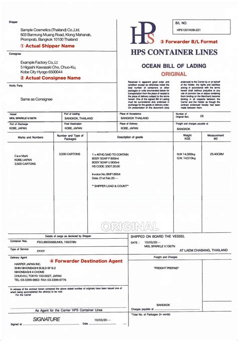 What Are The Differences Between MBL (Master Bill Of, 58% OFF