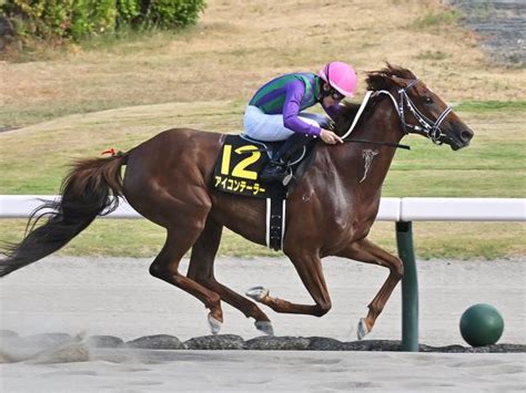 シリウスs17年ぶりの牝馬vなるか 前走初ダート快勝の紅一点に注目 2023年9月28日掲載 ライブドアニュース