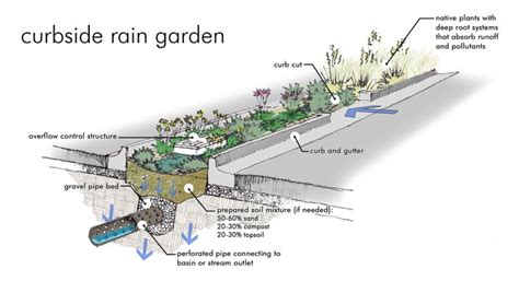 Bioswale A Solution To Pollution