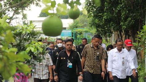 Tingkatkan Produktivitas Mentan SYL Dorong BPTP Perbanyak Produksi