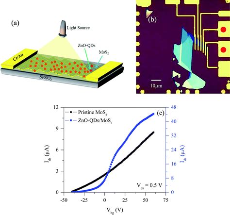 Enhanced Photoresponse Of Zno Quantum Dot Decorated Mos 2 Thin Films