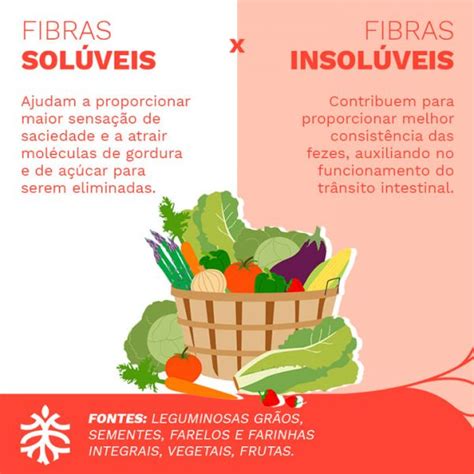 A Import Ncia Das Fibras Alimentares Para A Sa De Digestiva