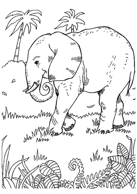 Coloriage Elephant Savane Sur Hugolescargot