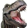 Amazon Dwk Tyrannosaurus Rex Head Bust Large Sculpture Dinosaur