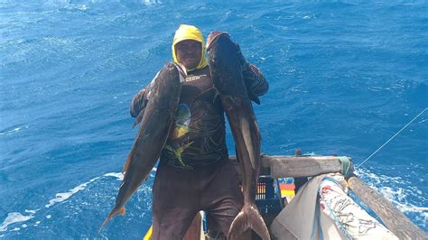 Guerreiros Do Mar SÓ GIGANTES 2 BEIJUPIRAR DE 30 KG 1 ARRAIA