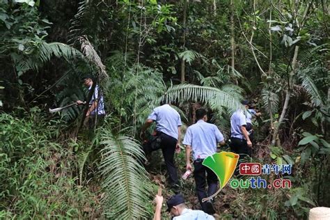 68小时不间断搜寻！广西一3岁男童失踪3天后在山里被找到广西藤县2岁男童失踪超48小时广西山中走失的男孩已找到公安