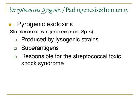 Ppt Staphylococcus Streptococcus Enterococcus Powerpoint Presentation Id6032176