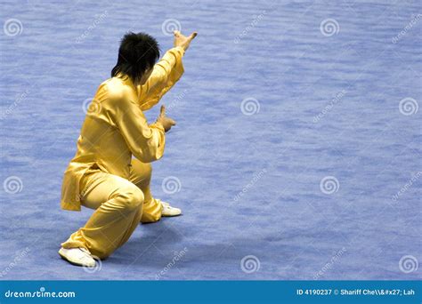 Chinese Martial Arts (Wushu) Editorial Photography - Image of chinese ...