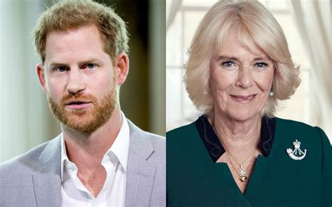 Prince Harry Outraged Queen Camilla Parker Due To His Reckless Behavior During His Latest Visit