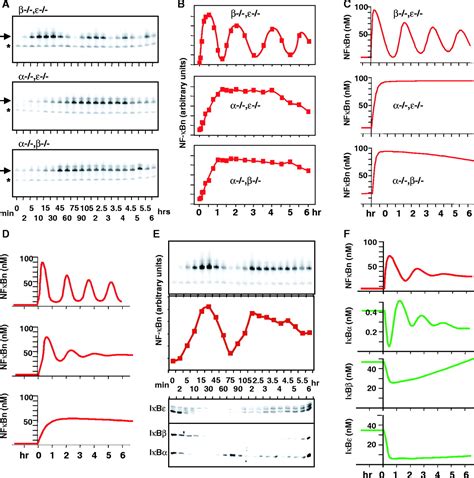 The IκB NF κB Signaling Module Temporal Control and Selective Gene