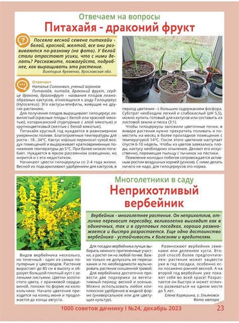 1000 советов дачнику №24 декабрь 2023 читать журнал онлайн бесплатно