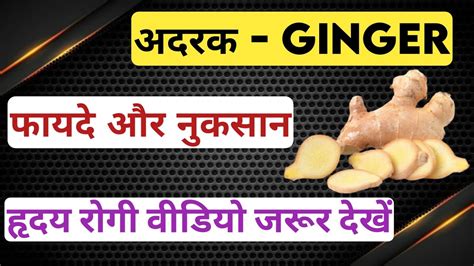 Ginger Benefits In Hindi Ginger Benefits For Hair अदरक के फायदे और