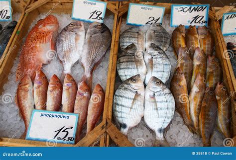 Fishmonger's Display Royalty Free Stock Photos - Image: 38818