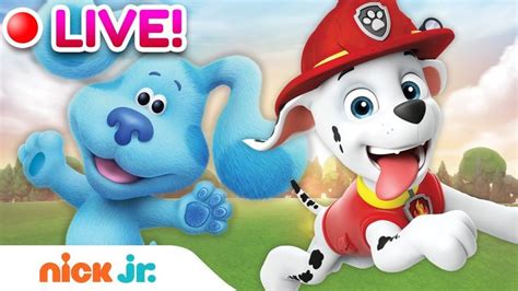 Live Best Adventures Games W Paw Patrol Blue S Clues More