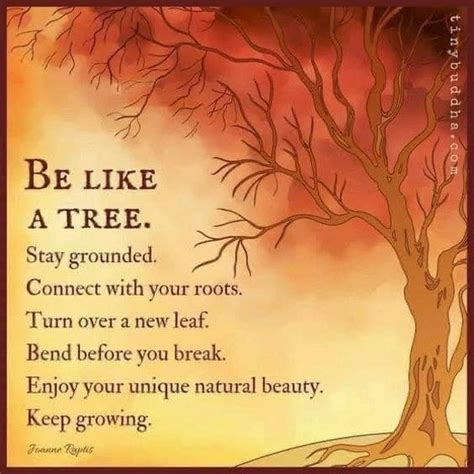 Wicked Souls Etsy Canada In Nature Quotes Positive Quotes For